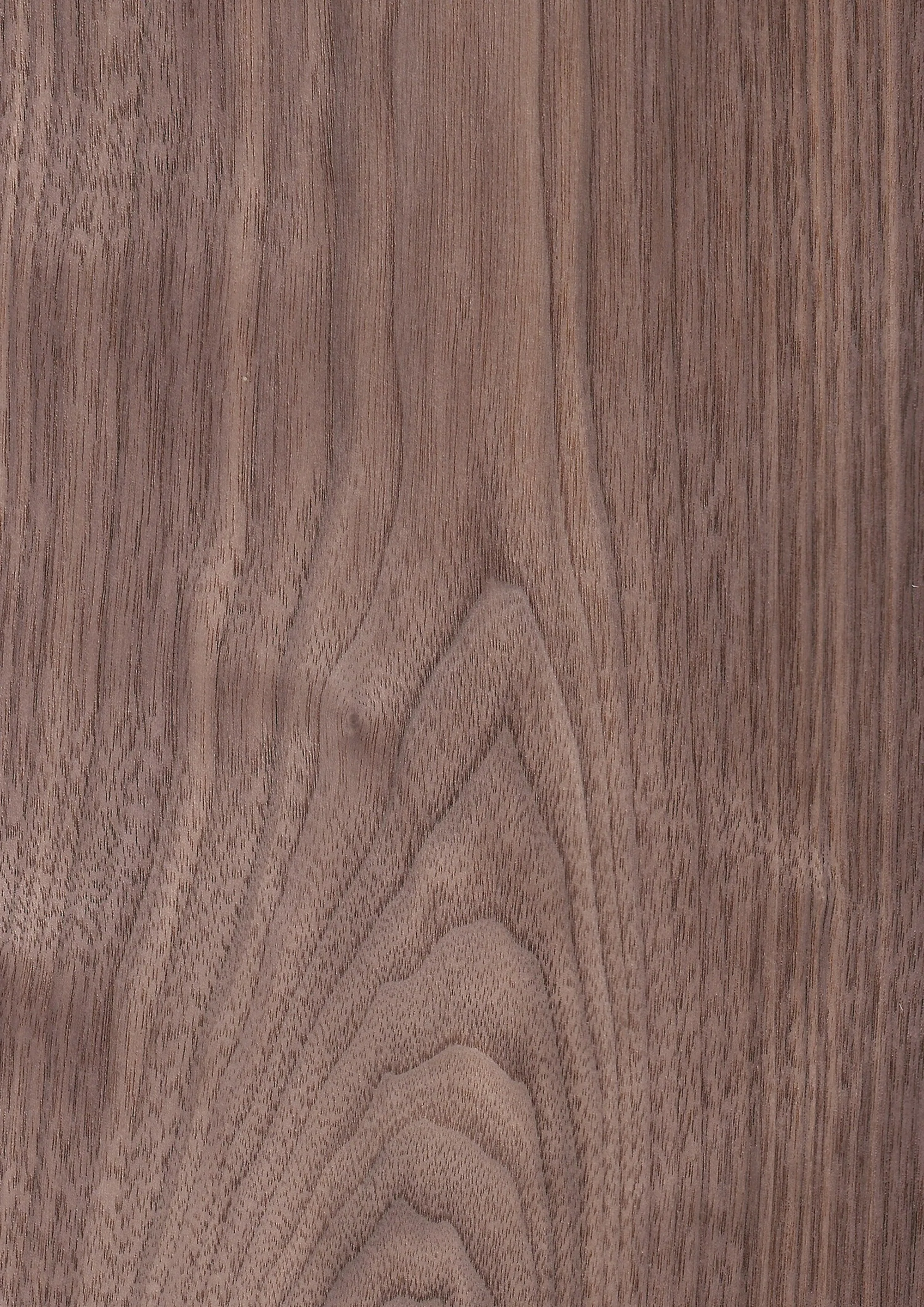 Crown American Walnut ASP-DF6749