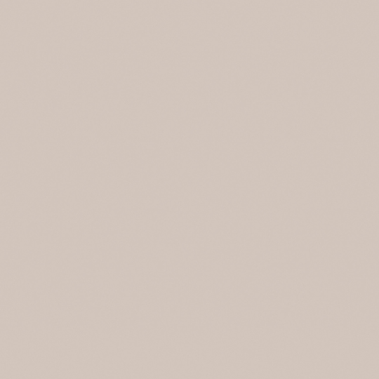 Oyster gray ASP-FM7929 