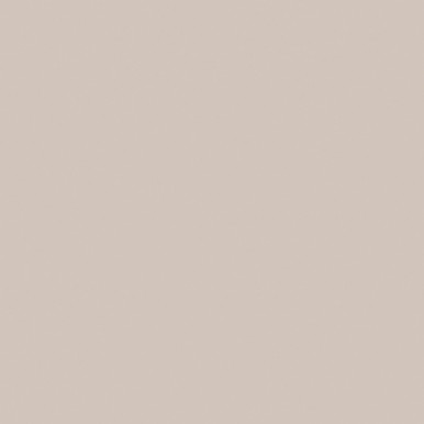 Oyster gray ASP-FM7929 